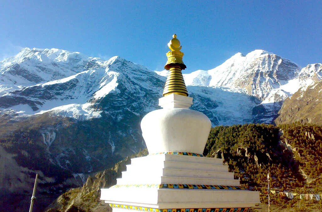 Gallery Img