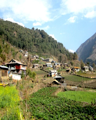 Package Image